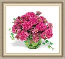 Westerly Florist, 26 S Main St, Bradford, RI 02808, (401)_596-3410